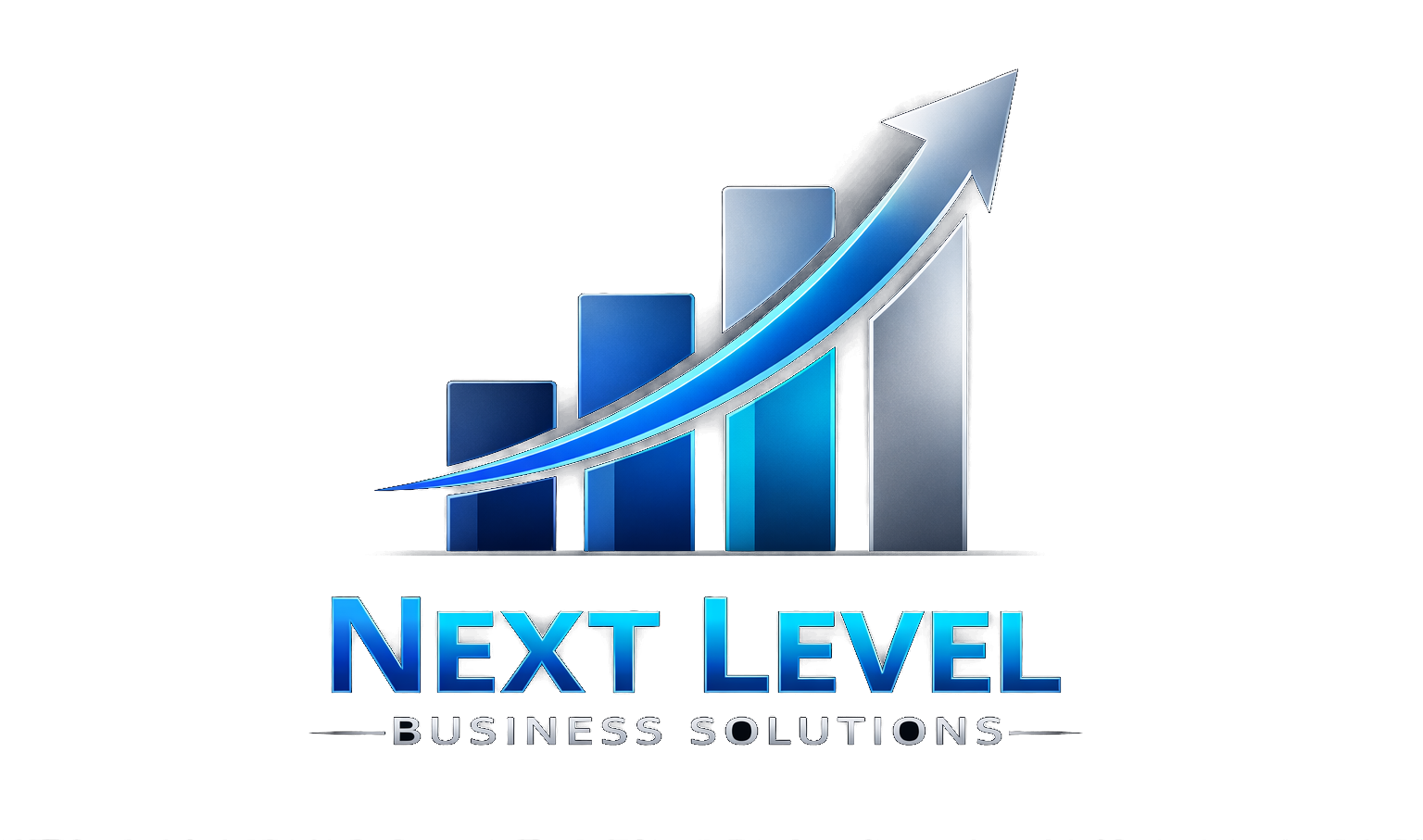 Next Level Business Solutions logo